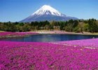 Thông bạch :Tổ chức chuyến thăm quan hành hương Nhật Bản